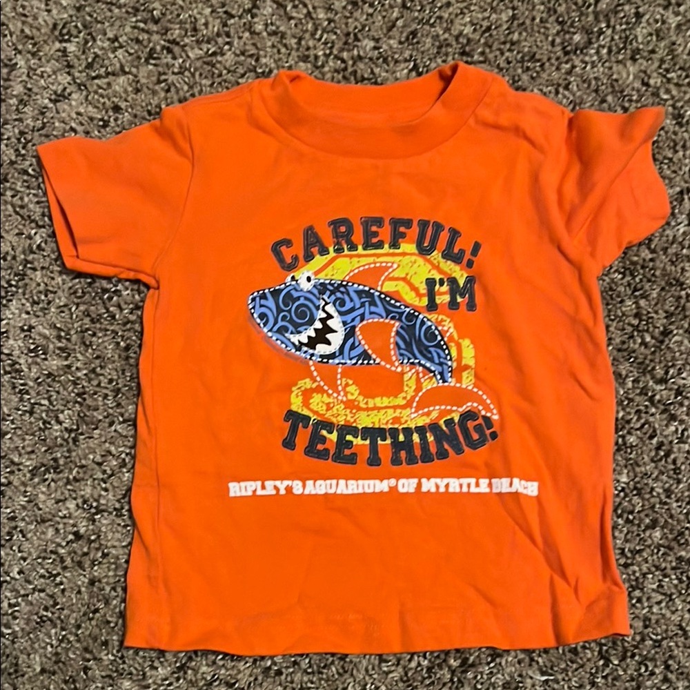 Orange Kids T-Shirt